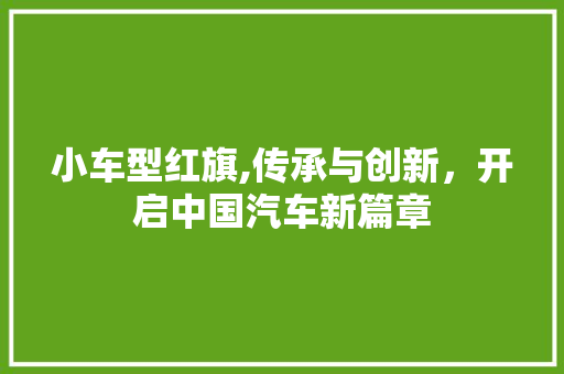 小车型红旗,传承与创新，开启中国汽车新篇章