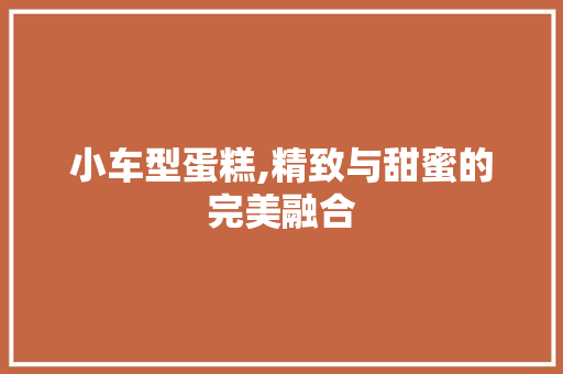 小车型蛋糕,精致与甜蜜的完美融合