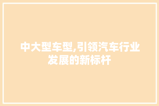 中大型车型,引领汽车行业发展的新标杆