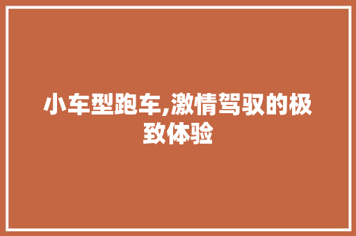 小车型跑车,激情驾驭的极致体验