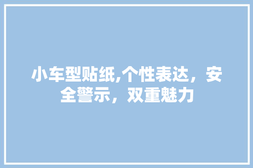 小车型贴纸,个性表达，安全警示，双重魅力 蓄电池配件