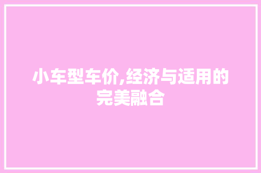 小车型车价,经济与适用的完美融合 车灯配件