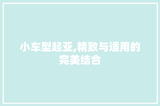 小车型起亚,精致与适用的完美结合 车身配件