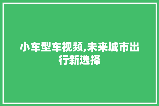 小车型车视频,未来城市出行新选择