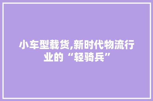 小车型载货,新时代物流行业的“轻骑兵”