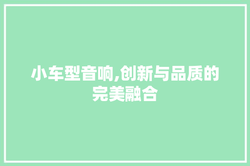 小车型音响,创新与品质的完美融合