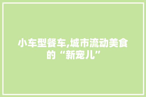 小车型餐车,城市流动美食的“新宠儿”