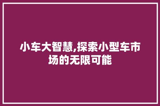 小车大智慧,探索小型车市场的无限可能