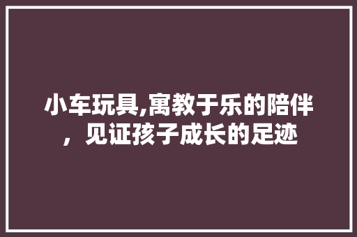 小车玩具,寓教于乐的陪伴，见证孩子成长的足迹