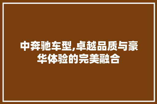 中奔驰车型,卓越品质与豪华体验的完美融合 新款车型