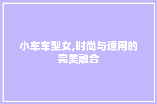 小车车型女,时尚与适用的完美融合