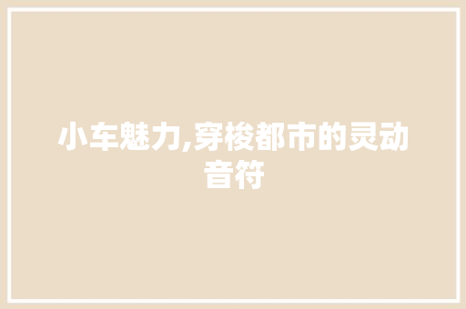 小车魅力,穿梭都市的灵动音符
