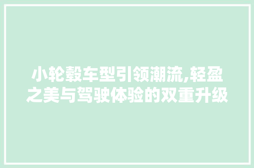 小轮毂车型引领潮流,轻盈之美与驾驶体验的双重升级