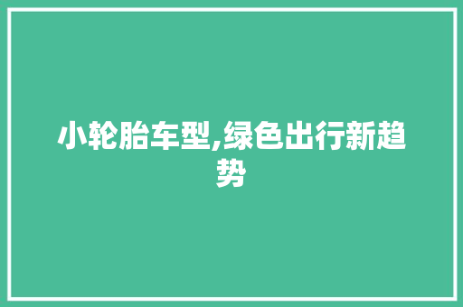 小轮胎车型,绿色出行新趋势
