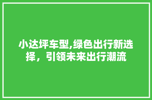 小达坪车型,绿色出行新选择，引领未来出行潮流