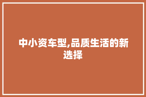 中小资车型,品质生活的新选择