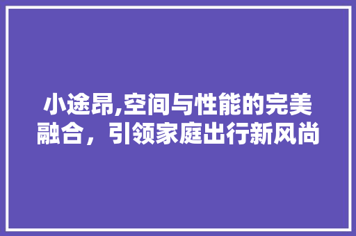 小途昂,空间与性能的完美融合，引领家庭出行新风尚