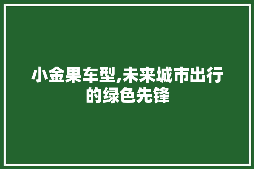 小金果车型,未来城市出行的绿色先锋