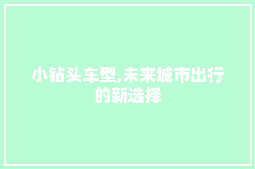 小钻头车型,未来城市出行的新选择