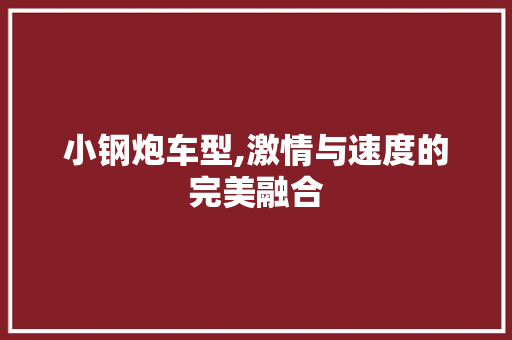 小钢炮车型,激情与速度的完美融合