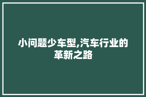 小问题少车型,汽车行业的革新之路