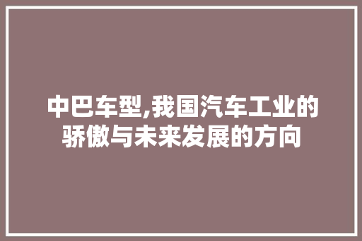 中巴车型,我国汽车工业的骄傲与未来发展的方向