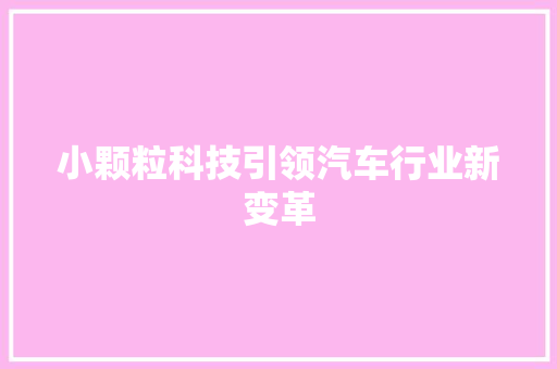 小颗粒科技引领汽车行业新变革