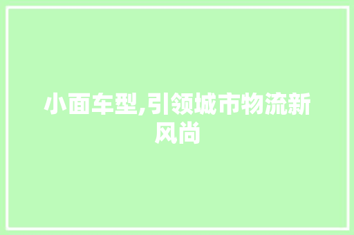 小面车型,引领城市物流新风尚