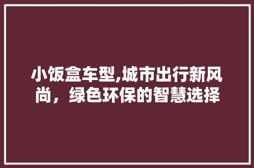 小饭盒车型,城市出行新风尚，绿色环保的智慧选择
