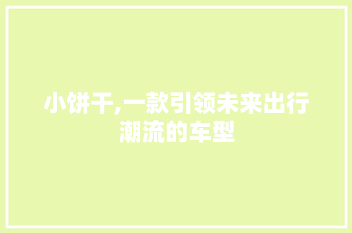 小饼干,一款引领未来出行潮流的车型