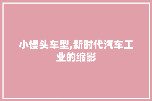 小馒头车型,新时代汽车工业的缩影