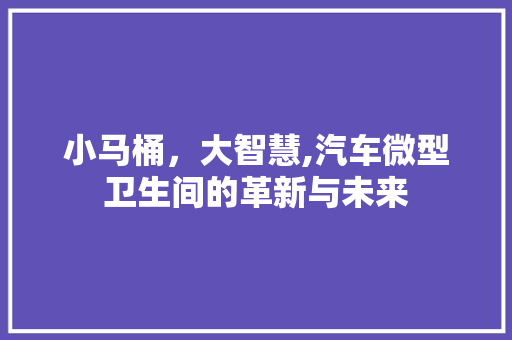 小马桶，大智慧,汽车微型卫生间的革新与未来
