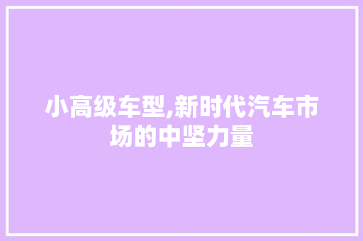 小高级车型,新时代汽车市场的中坚力量