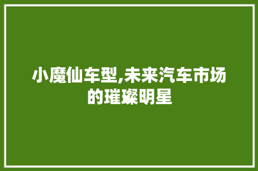 小魔仙车型,未来汽车市场的璀璨明星