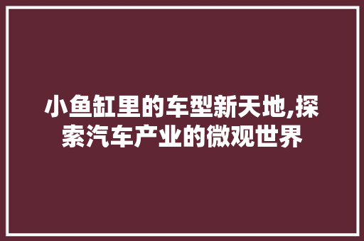 小鱼缸里的车型新天地,探索汽车产业的微观世界