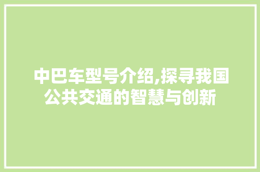 中巴车型号介绍,探寻我国公共交通的智慧与创新 新能源汽车