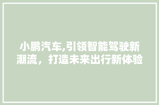 小鹏汽车,引领智能驾驶新潮流，打造未来出行新体验