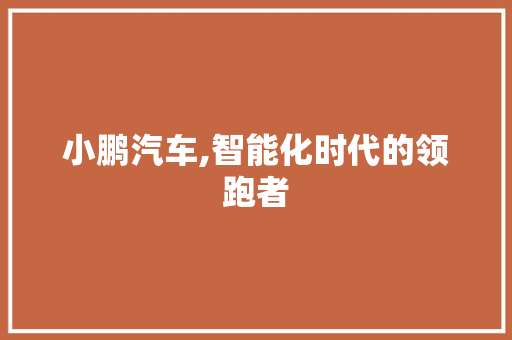 小鹏汽车,智能化时代的领跑者