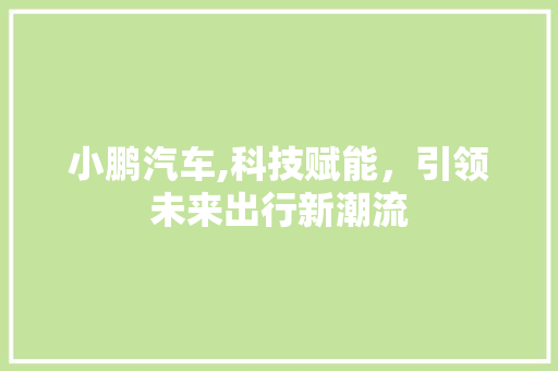 小鹏汽车,科技赋能，引领未来出行新潮流