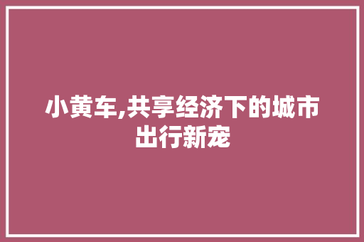 小黄车,共享经济下的城市出行新宠