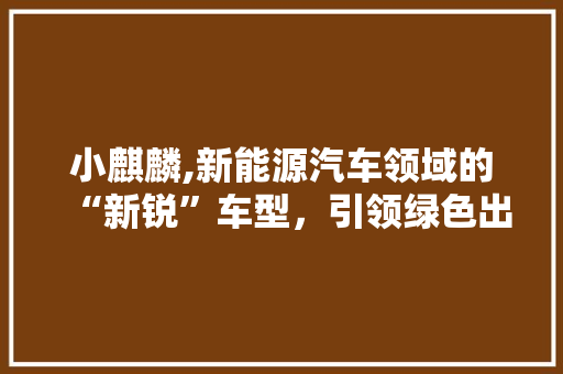 小麒麟,新能源汽车领域的“新锐”车型，引领绿色出行潮流