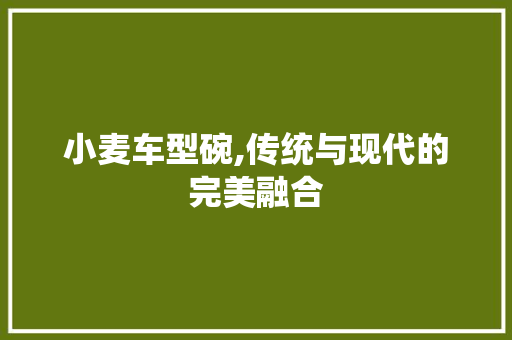 小麦车型碗,传统与现代的完美融合