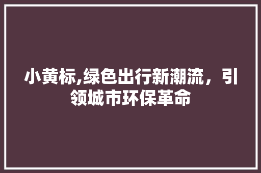 小黄标,绿色出行新潮流，引领城市环保革命