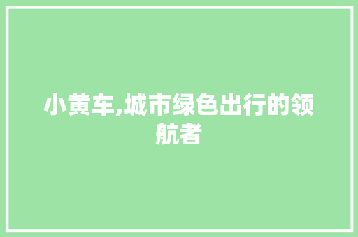 小黄车,城市绿色出行的领航者