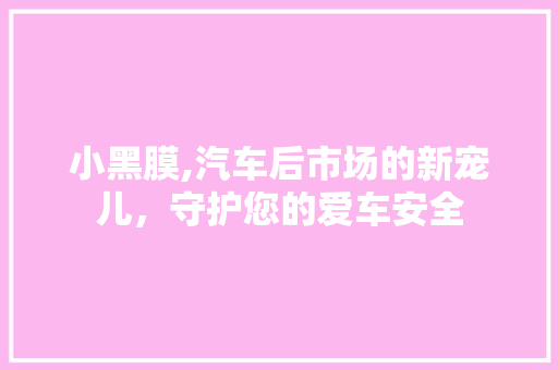 小黑膜,汽车后市场的新宠儿，守护您的爱车安全