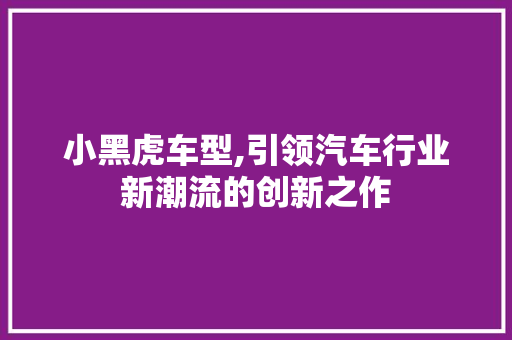 小黑虎车型,引领汽车行业新潮流的创新之作