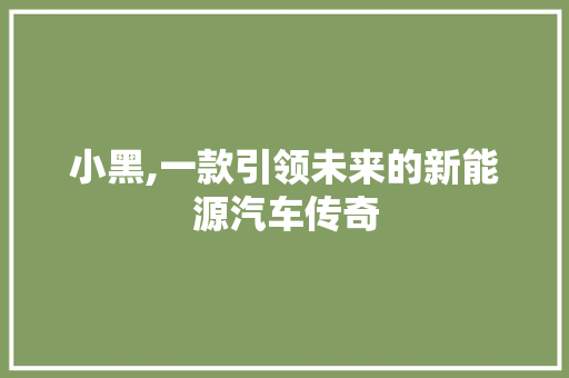 小黑,一款引领未来的新能源汽车传奇