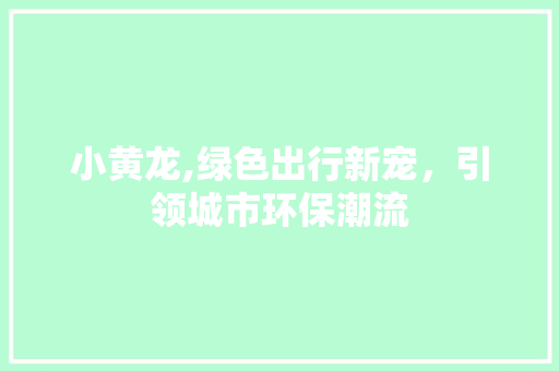 小黄龙,绿色出行新宠，引领城市环保潮流