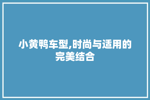 小黄鸭车型,时尚与适用的完美结合