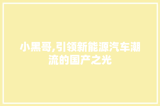 小黑哥,引领新能源汽车潮流的国产之光